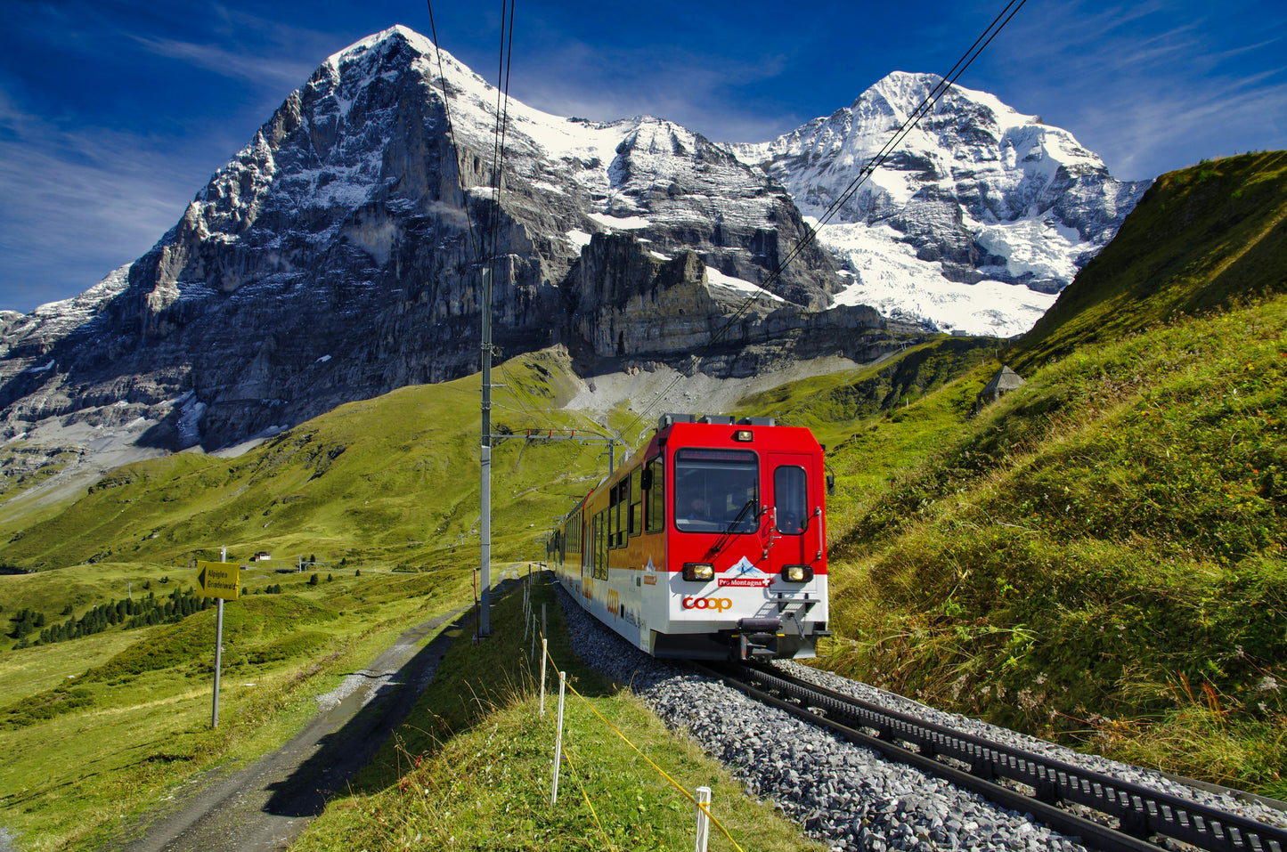 Travel Agent Services